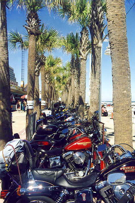 Daytona beach
                Parkplatz