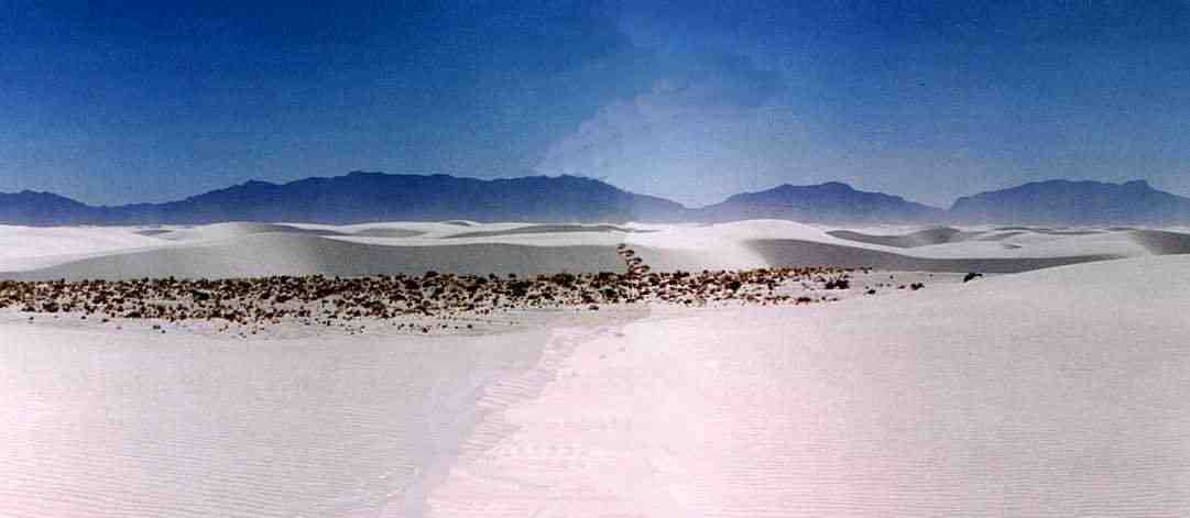 White Sand
                Dunes