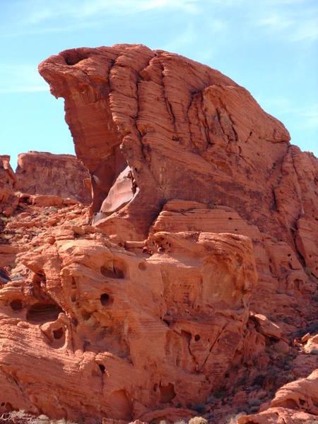 Valley of fire - Snake