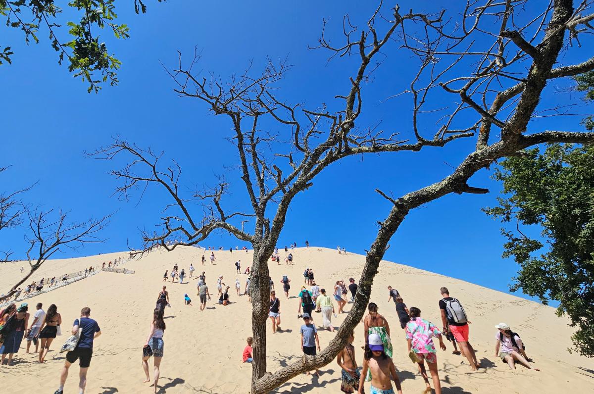 Dune de Pilat
