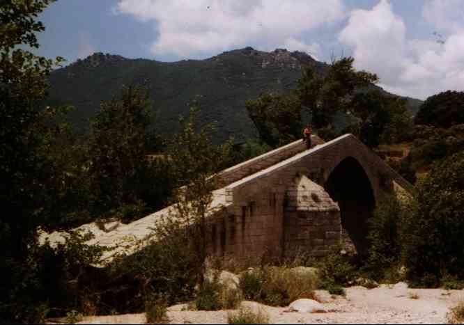 Pferdercken
                  Brcke